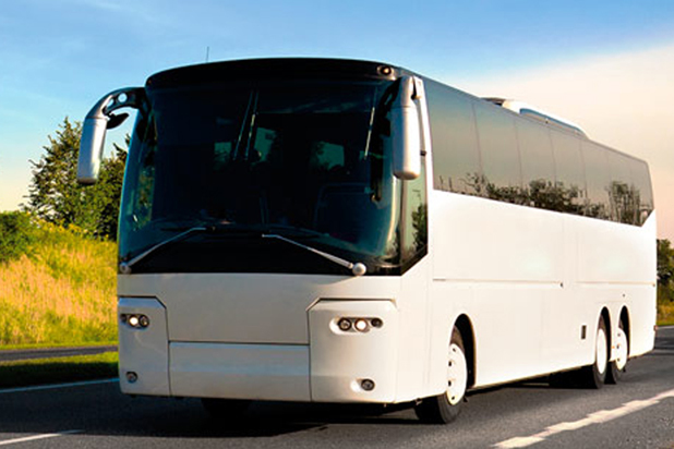 <span style="font-weight: bold;">BUS point </span><br>